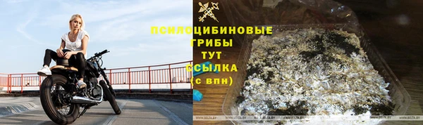 МДПВ Горнозаводск