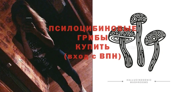 бошки Горняк