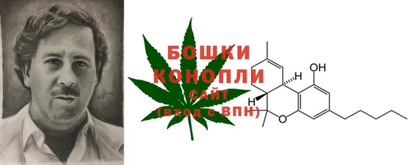 МДПВ Горнозаводск