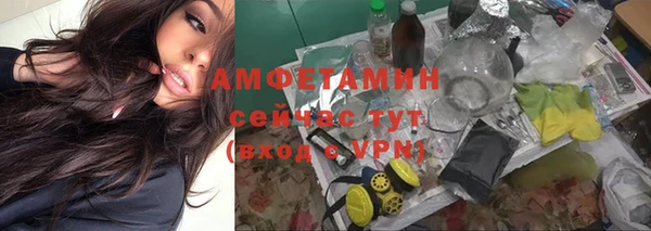 бошки Горняк