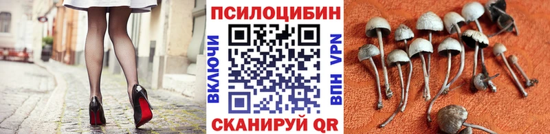Галлюциногенные грибы мицелий Мончегорск