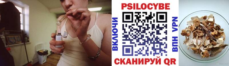 Псилоцибиновые грибы Psilocybe  Купить где  Мончегорск 